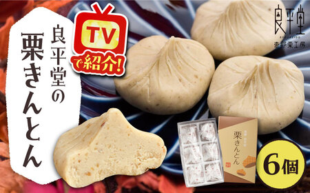 【年内配送】【カーボンオフセット対象】栗きんとん6個 / 栗 くり 栗きんとん くりきんとん 和菓子 スイーツ / 恵那市 / 良平堂 [AUDB014]