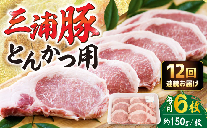 【12回定期便】 三浦豚 豚肉 ロース900ｇ（ステーキ/とんかつ用）/ ブランド豚 国産 ポーク とんかつ 恵那市 / あづま精肉店 [AUDL011]