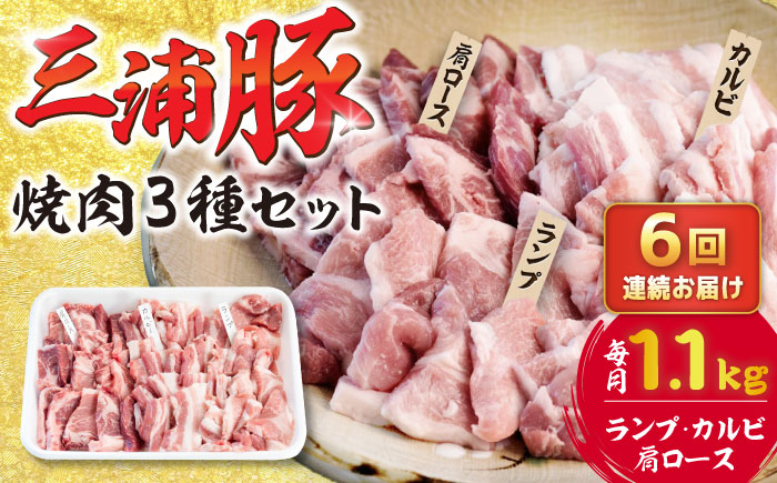 【6回定期便】 豪華 三浦豚 1.1kg 焼肉セット 肩ロース カルビ ランプ / ブランド豚 国産 ポーク 大容量 恵那市 / あづま精肉店 [AUDL019]