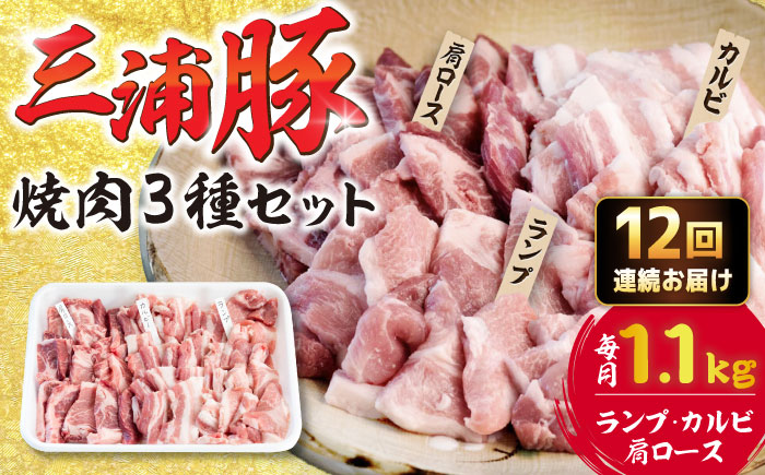 【12回定期便】 豪華 三浦豚 1.1kg 焼肉セット 肩ロース カルビ ランプ / ブランド豚 国産 ポーク 大容量 恵那市 / あづま精肉店 [AUDL020]