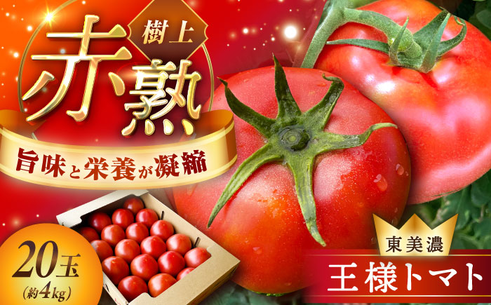 赤熟もぎりのひがしみの王様トマト 20玉（約4kg） / トマト とまと 王様トマト 完熟 / 恵那市 / 東美濃農業協同組合 [AUDS002]