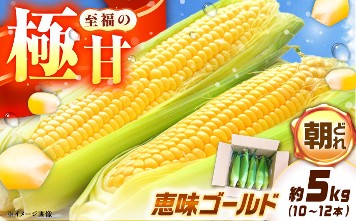 【先行予約】【2025年7月から8月上旬に順次発送】とうもろこし 恵味ゴールド 約5kg(梱包込) / 野菜 やさい コーン / 恵那市 / 大島農園 [AUEH001]