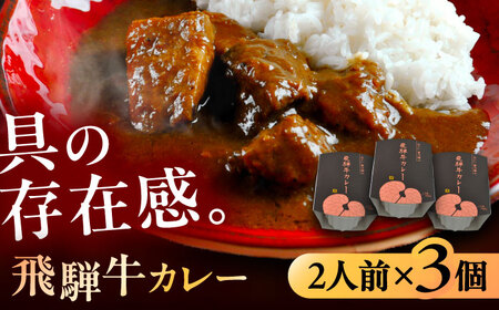 -あふひ 贅の極み- 飛騨牛カレー 2人前×3個セット / レトルトカレー ご当地カレー 常温保存 時短 / 恵那市 / テンポイント [AUEU002] 3個