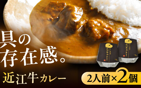 -あふひ 贅の極み- 近江牛カレー レトルト 2人前×2個セット ビーフカレー レトルトカレー 保存食 恵那市 / テンポイント [AUEU017] 2個