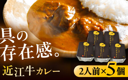 -あふひ 贅の極み- 近江牛カレー レトルト 2人前×5個セット ビーフカレー レトルトカレー 保存食 恵那市 / テンポイント [AUEU018] 3個