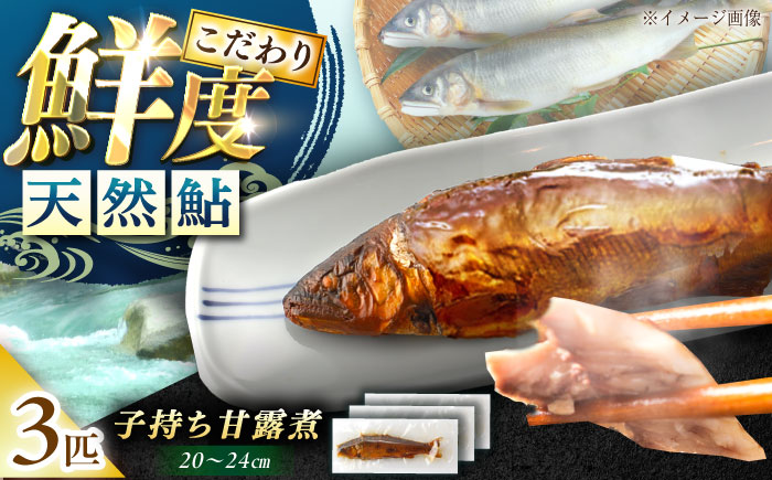 子持ち天然あゆの甘露煮 3匹セット / あゆ 天然 鮎 甘露煮 / 恵那市 / 恵那物産館 [AUFS004]