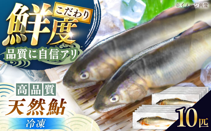 ＜冷凍＞天然あゆ 19～22cm 10匹入り / あゆ 天然 鮎 冷凍 / 恵那市 / 恵那物産館 [AUFS008]