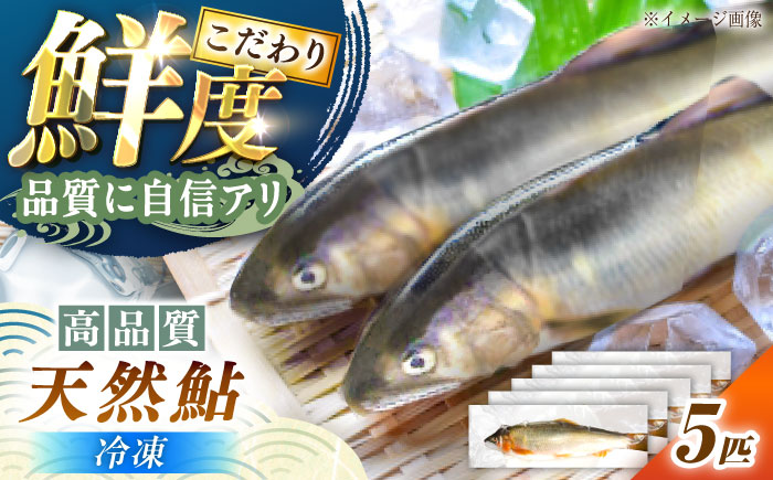 ＜冷凍＞天然あゆ 19～22cm 5匹入り / あゆ 天然 鮎 冷凍 / 恵那市 / 恵那物産館 [AUFS009]