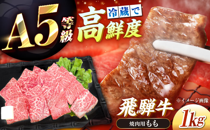 【チルド（冷蔵）発送！】 「飛騨牛」 A5等級 もも 1kg / 牛肉 焼肉 鉄板焼き 網焼き BBQ / 恵那市 / 東美濃農業協同組合 [AUFX006] 1kg