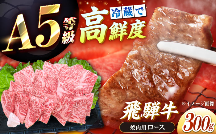 【チルド（冷蔵）発送！】 「飛騨牛」 A5等級 ロース 300g / 牛肉 焼肉 鉄板焼き 網焼き BBQ / 恵那市 / 東美濃農業協同組合 [AUFX007] 300g