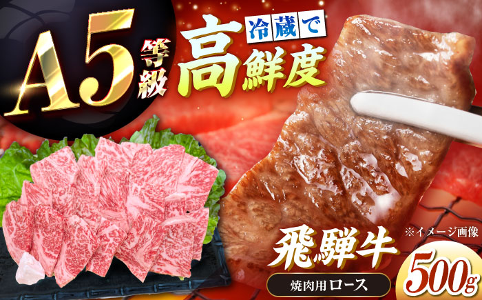 【チルド（冷蔵）発送！】 「飛騨牛」 A5等級 ロース 500g / 牛肉 焼肉 鉄板焼き 網焼き BBQ / 恵那市 / 東美濃農業協同組合 [AUFX008] 500g
