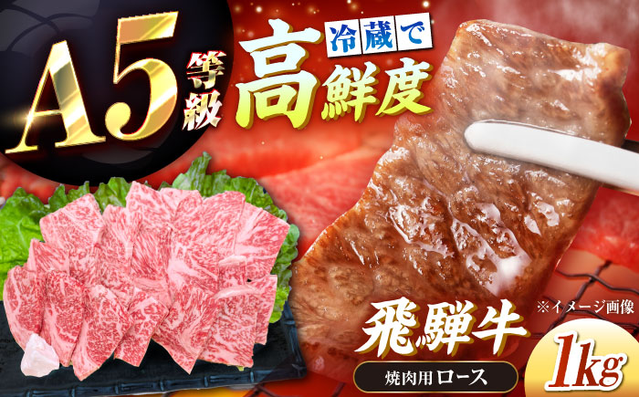 【チルド（冷蔵）発送！】 「飛騨牛」 A5等級 ロース 1kg / 牛肉 焼肉 鉄板焼き 網焼き BBQ / 恵那市 / 東美濃農業協同組合 [AUFX009] 1kg
