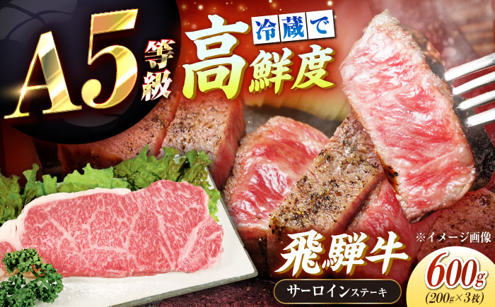 【チルド（冷蔵）発送！】 「飛騨牛」 A5等級 サーロインステーキ 200g×3枚 / 牛肉 焼肉 鉄板焼き 網焼き BBQ / 恵那市 / 東美濃農業協同組合 [AUFX012] 3枚
