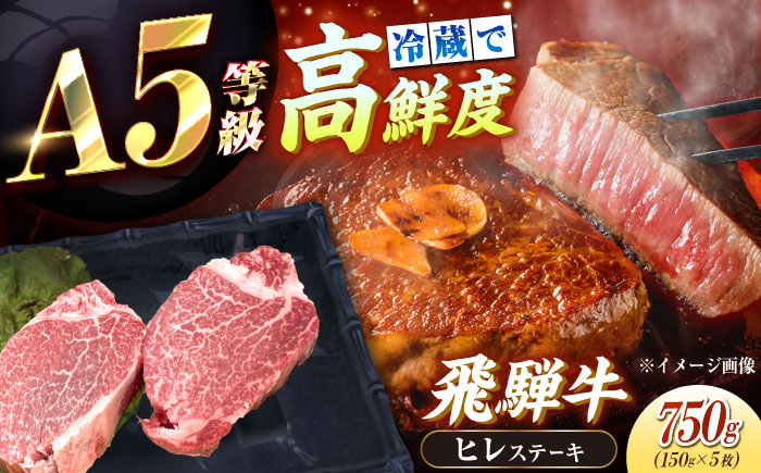 【チルド（冷蔵）発送！】 「飛騨牛」 A5等級 ヒレステーキ 150g×5枚 / 牛肉 焼肉 鉄板焼き 網焼き BBQ/ 恵那市 / 東美濃農業協同組合 [AUFX019] 5枚
