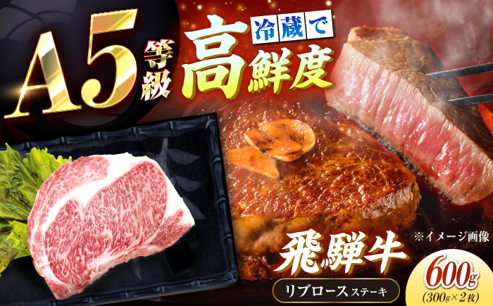 【チルド（冷蔵）発送！】 「飛騨牛」 A5等級 リブロース ステーキ用 300g×2枚 / 牛肉 焼肉 鉄板焼き 網焼き BBQ/ 恵那市 / 東美濃農業協同組合 [AUFX021] 2枚