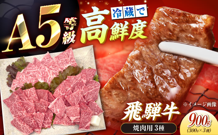 【チルド（冷蔵）発送！】 「飛騨牛」 A5等級 焼肉用3種盛り！ ロース・もも・バラ 各300g / 牛肉 焼肉 鉄板焼き 網焼き BBQ/ 恵那市 / 東美濃農業協同組合 [AUFX023]