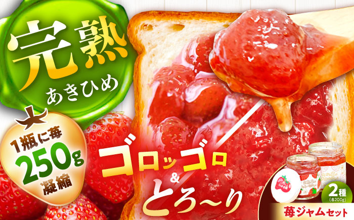 苺ジャム2種セット / いちご 苺 イチゴ あきひめ 国産 / 恵那市 / 阿部農園 [AUGA004]