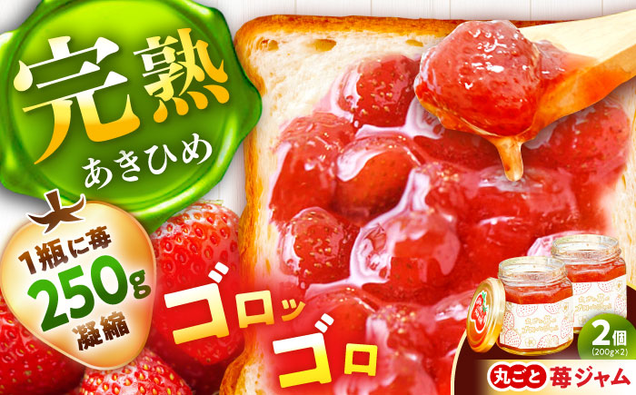 丸ごと苺のゴロッとジャム / ジャム いちごジャム いちご 苺 あきひめ / 恵那市 / 阿部農園 [AUGA006]