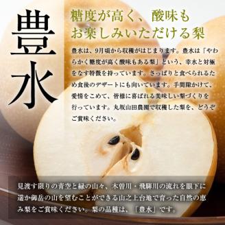 【先行予約】山之上 梨 １箱 豊水 2.5kg程度 | 丸坂山田農園 なし ほうすい M10S125