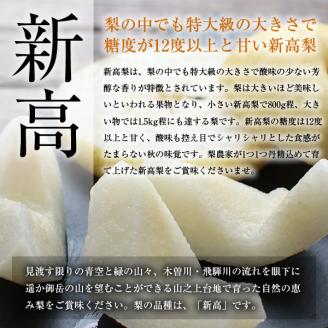 【先行予約】【2024年10月中旬より順次発送】山之上 梨 １箱 新高 3.5kg程度 | 丸坂山田農園 なし にいたか M11S70