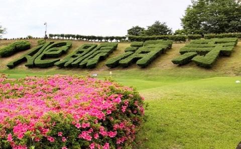 明智ゴルフ倶楽部  賑済寺ゴルフ場利用券（9枚）