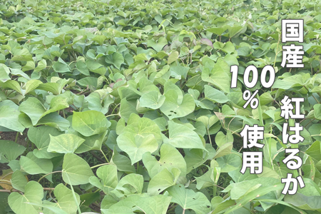 干し芋 セットB【MUSCLE POTATO】 100g入 3パック×3袋 | REGALO いも さつまいも 紅はるか スイーツ お菓子 おやつ 小分け M21S14