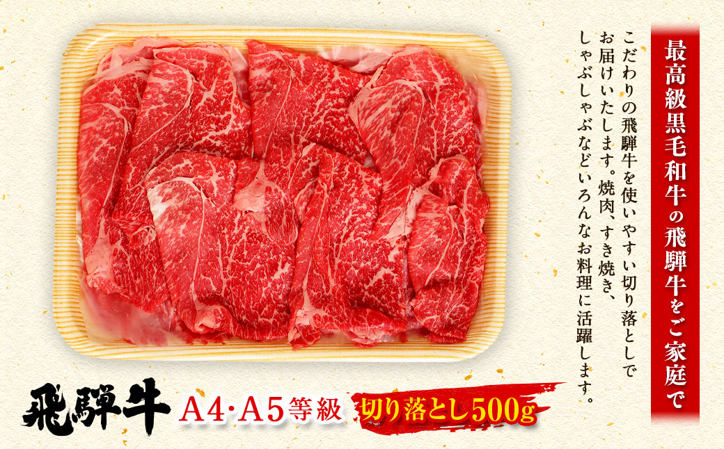 飛騨牛 A4 A5 等級 切り落とし 500g | 肉のかた山 牛肉 牛 肉 焼肉 すき焼き しゃぶしゃぶ 和牛 黒毛和牛 国産 M11S66