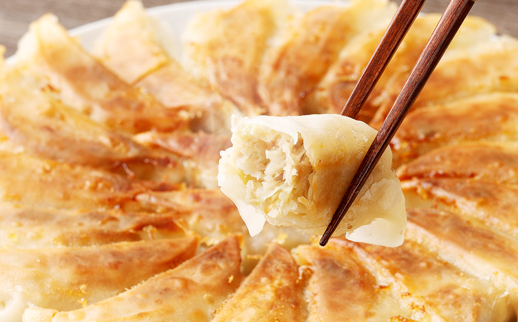 冷凍餃子５袋（えむちゃん５袋100個）| NPO法人プラス・ワン 第２むくのき ギョーザ 冷凍 餃子 豚肉 ぎょうざ 小分け 大容量 M12S115