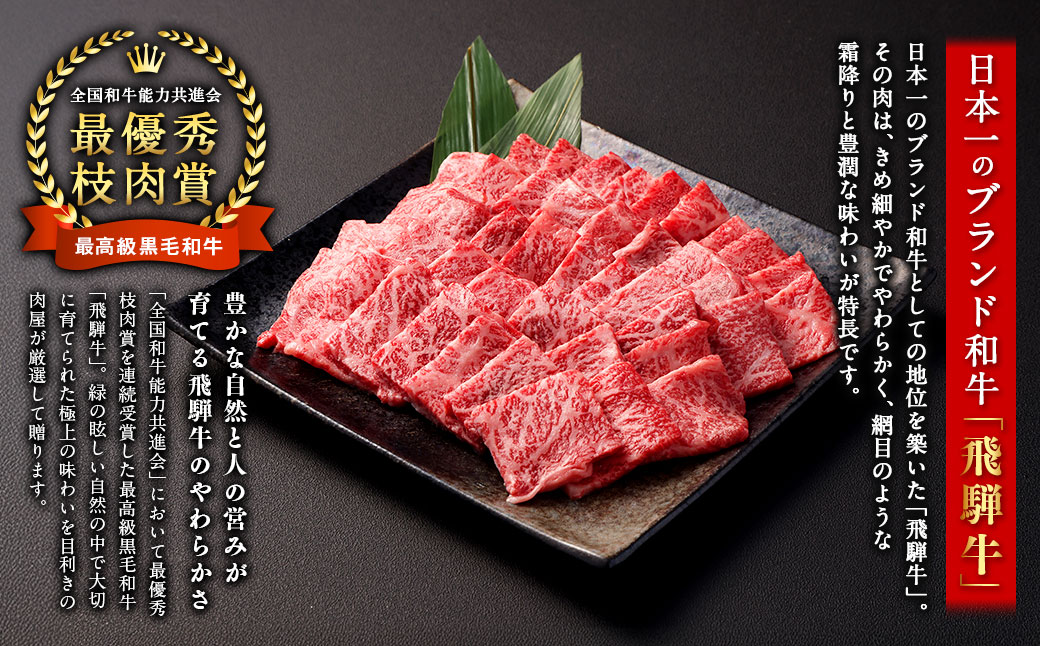 飛騨牛 A5 等級 焼肉 用 400g（ モモ肉 ） | 肉のかた山 牛肉 牛 肉 焼き肉 和牛 黒毛和牛 国産 M12S85