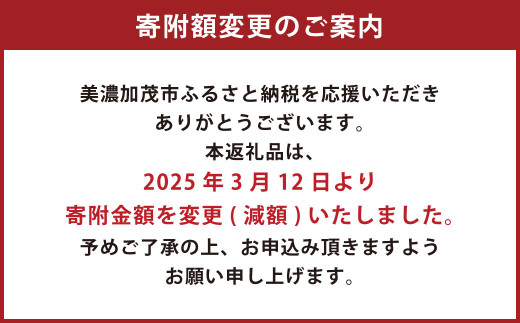 【左利き用】ZERO.REALIZE 硬式グローブ（Z6 内野手用） オーダーモデル 野球用グローブ グラブ 野球用グラブ