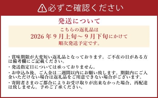 《先行予約》 「山之上果実農業協同組合」 山之上の梨 豊水 1箱 約 2.5kg 5-8玉 梨 なし ナシ 果物 旬 旬の果物【2026年9月上旬-9月下旬 発送予定】
