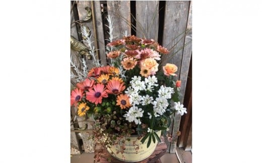 季節の 寄せ植え | フローリスト カモノ花園 おまかせ 季節 お花 花 植物 フラワー アレンジ M16S24