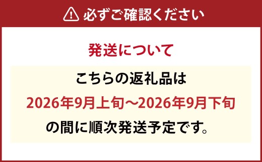 福果園の樹上完熟梨 農家直送品種おまかせ（3kg程度）