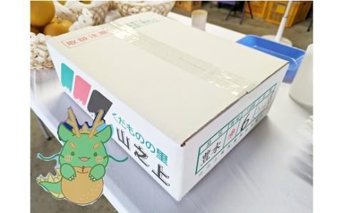 【2024年 8月上旬発送開始】山之上の梨（品種はおまかせ）約2.5kg｜ありた農園 M10S123