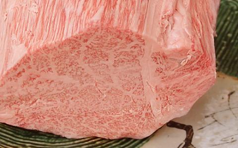 【 希少部位 】飛騨牛 A5 等級　ヒレ 肉 ブロック 約500g | 肉のかた山 お肉 牛肉 和牛 黒毛和牛 国産 ブロック肉 ヒレ ギフト 岐阜