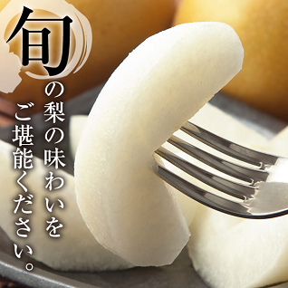 【先行予約】山之上 梨 １箱 豊水 2.5kg程度 | 丸坂山田農園 なし ほうすい M10S125
