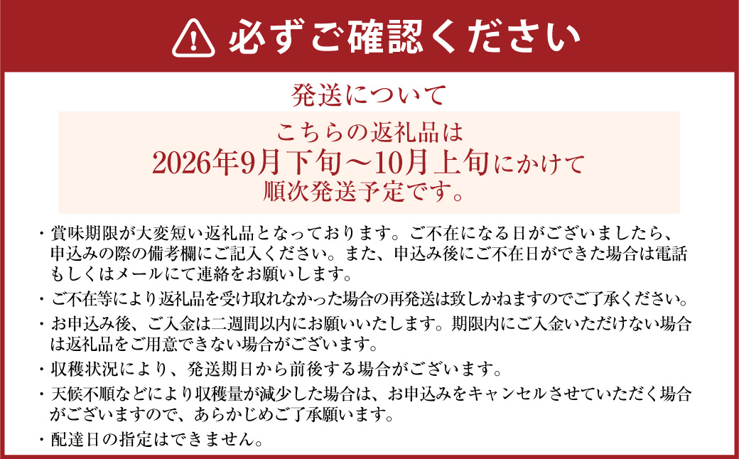 《先行予約》｢丸坂山田農園｣ 山之上梨 新高 1箱 （ 約3.5kg ／ 3～6玉 ） 【2026年9月下旬～10月上旬 発送予定】 │ 梨 ナシ なし くだもの 果物 果実 フルーツ 冷蔵 岐阜県産 国産