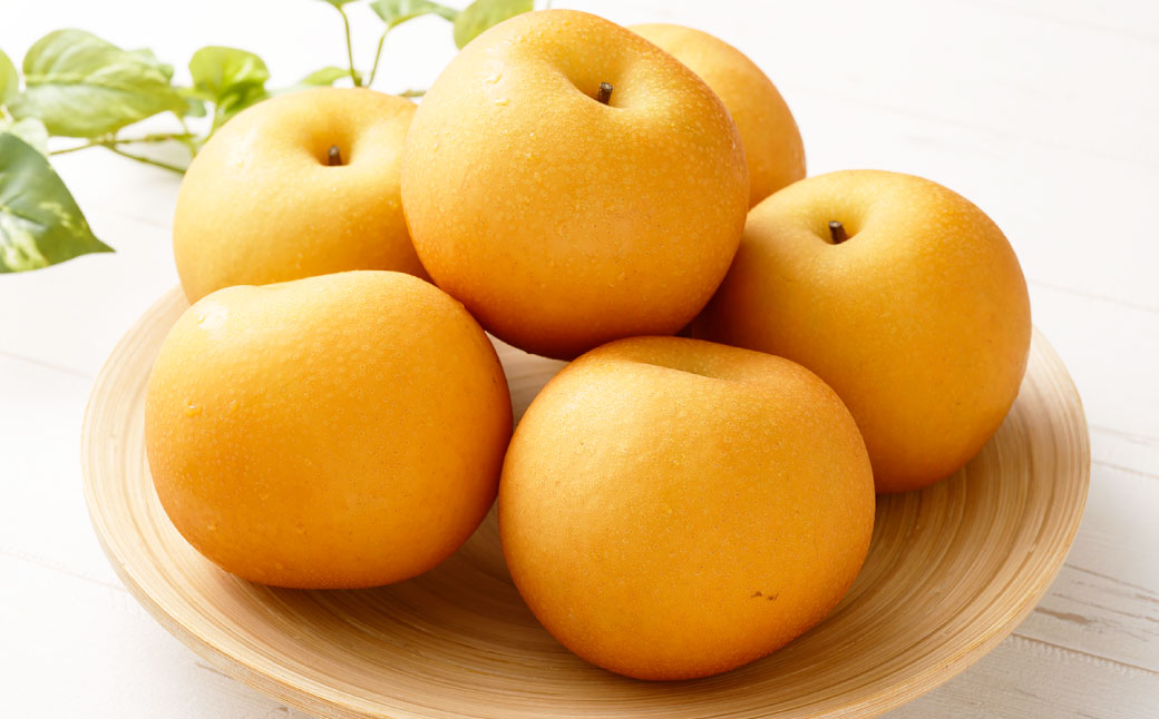 ≪先行受付≫ 福果園の樹上完熟梨 農家直送品種おまかせ（3kg程度）5～9玉 | 福果園 梨 果物 果実 完熟 フルーツ 冷蔵 農家直送 新鮮 品種 おまかせ 豊水 福水 あきづき 甘太 岐阜県 美濃加茂市 送料無料 【2026年9月上旬～9月下旬 発送予定】