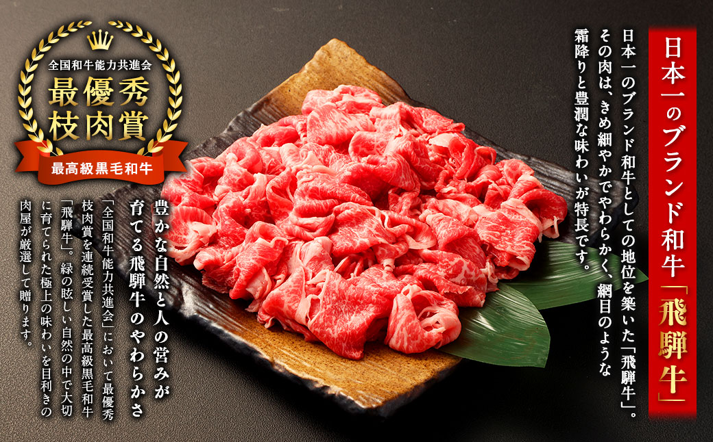 飛騨牛 A4 A5 等級 切り落とし 500g | 肉のかた山 牛肉 牛 肉 焼肉 すき焼き しゃぶしゃぶ 和牛 黒毛和牛 国産 M11S66