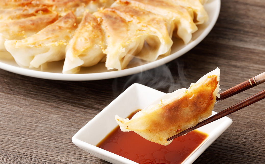 冷凍餃子５袋（えむちゃん５袋100個）| NPO法人プラス・ワン 第２むくのき ギョーザ 冷凍 餃子 豚肉 ぎょうざ 小分け 大容量 M12S115