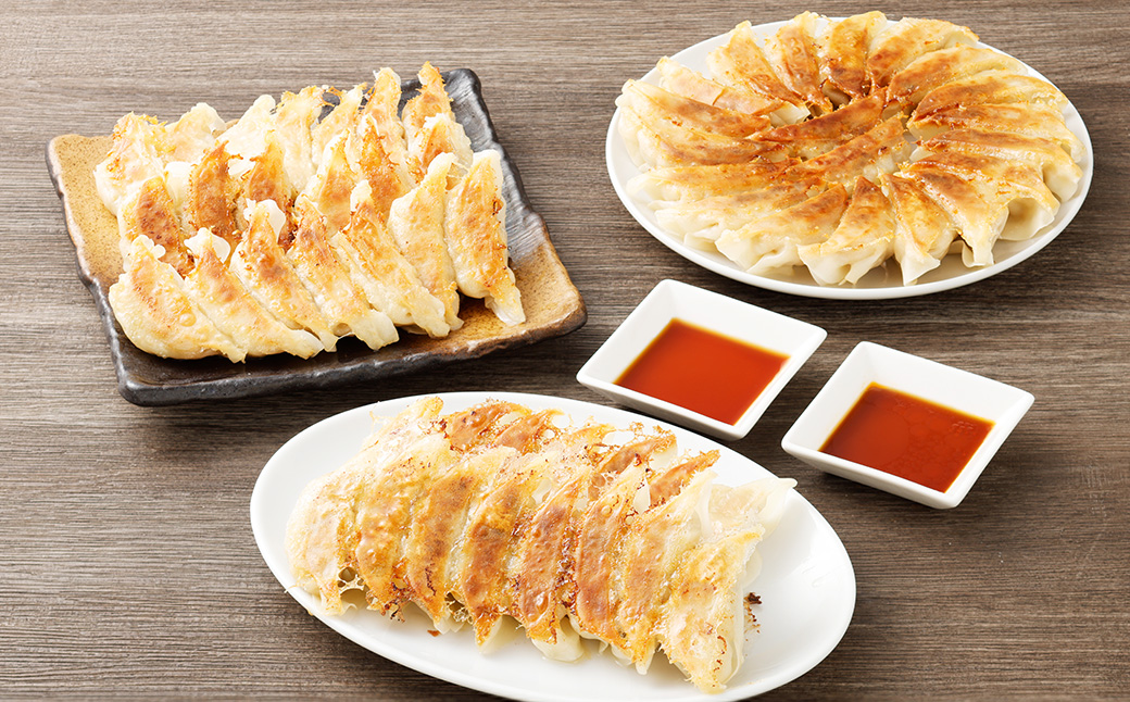 冷凍餃子５袋（選べる５袋）（備考欄に５袋の希望を記入） | NPO法人プラス・ワン 第２むくのき 冷凍 豚肉 餃子 ぎょうざ 小分け 大容量 M12S116