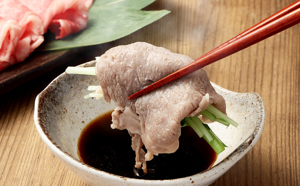 飛騨牛 A5 等級 しゃぶしゃぶ 用（ ロース 400g）| 肉のかた山 牛肉 牛 肉 お肉 和牛 黒毛和牛 国産 しゃぶしゃぶ M22S37