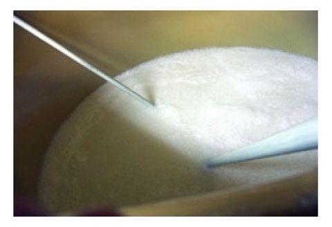 御代櫻　純米吟醸 Leaf（リーフ）720ml 2本セット | 御代桜醸造 酒 日本酒 純米 純米酒 アルコール 岐阜県 美濃加茂市 美濃加茂 みのかも