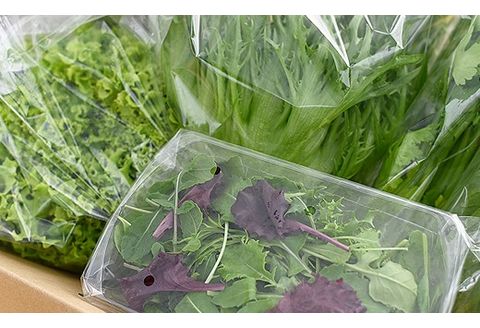 葉物野菜 Aセット 新鮮 水耕栽培 3種類以上 8袋程度 | GreensFarm ホタル やさい サラダ 和え物 セット 詰め合わせ M06S22