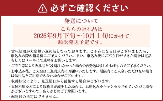 ｢丸坂山田農園｣ 山之上梨 新高 1箱 （ 約3.5kg ／ 3～6玉 ）