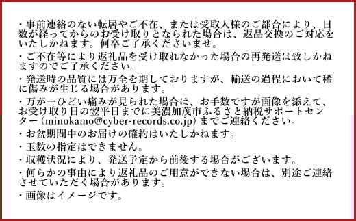 《先行予約》 「山之上果実農業協同組合」 山之上の梨 あきづき梨 1箱 約 2.5kg 5-8玉 梨 なし ナシ フルーツ 果物 旬 【2025年9月上旬-10月上旬 発送予定】