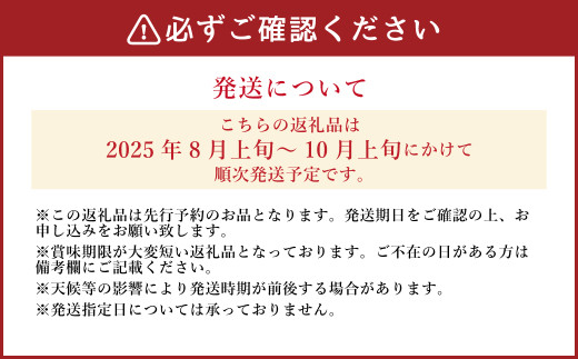 《先行予約》山之上の梨 （品種はおまかせ） 約 3kg （5～8玉） 梨 なし 果物 フルーツ 【2025年8月上旬-10月上旬 発送予定】