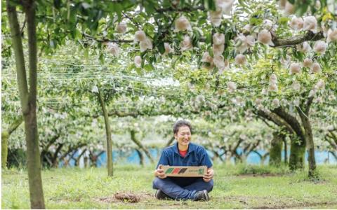 【2024年 8月上旬発送開始】山之上の梨（品種はおまかせ）約2.5kg｜ありた農園 M10S123