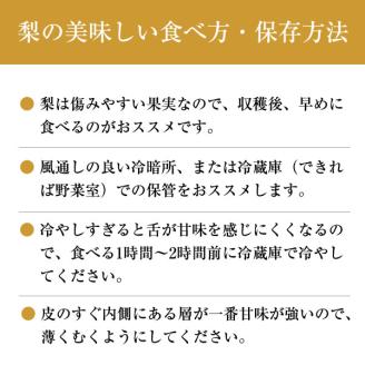 【先行予約】【2024年10月中旬より順次発送】山之上 梨 １箱 新高 3.5kg程度 | 丸坂山田農園 なし にいたか M11S70