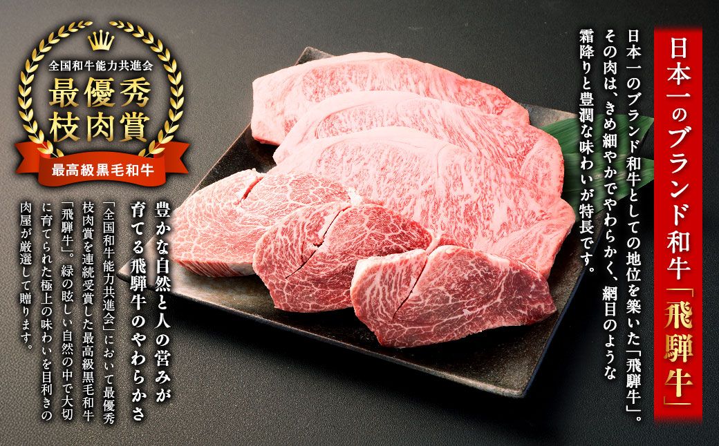 飛騨牛 A5 等級 サーロイン （3枚）＆ ヒレ （3～4枚） | 肉のかた山 ステーキ 牛肉 牛 肉 和牛 国産 黒毛和牛
